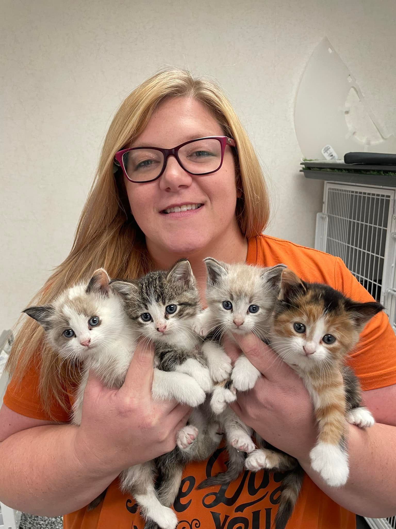 A woman wearing glasses is holding four kittens in her arms.