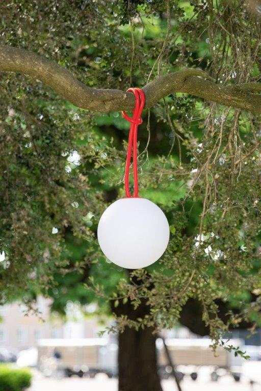 Ein weißer Ball hängt an einem Ast.