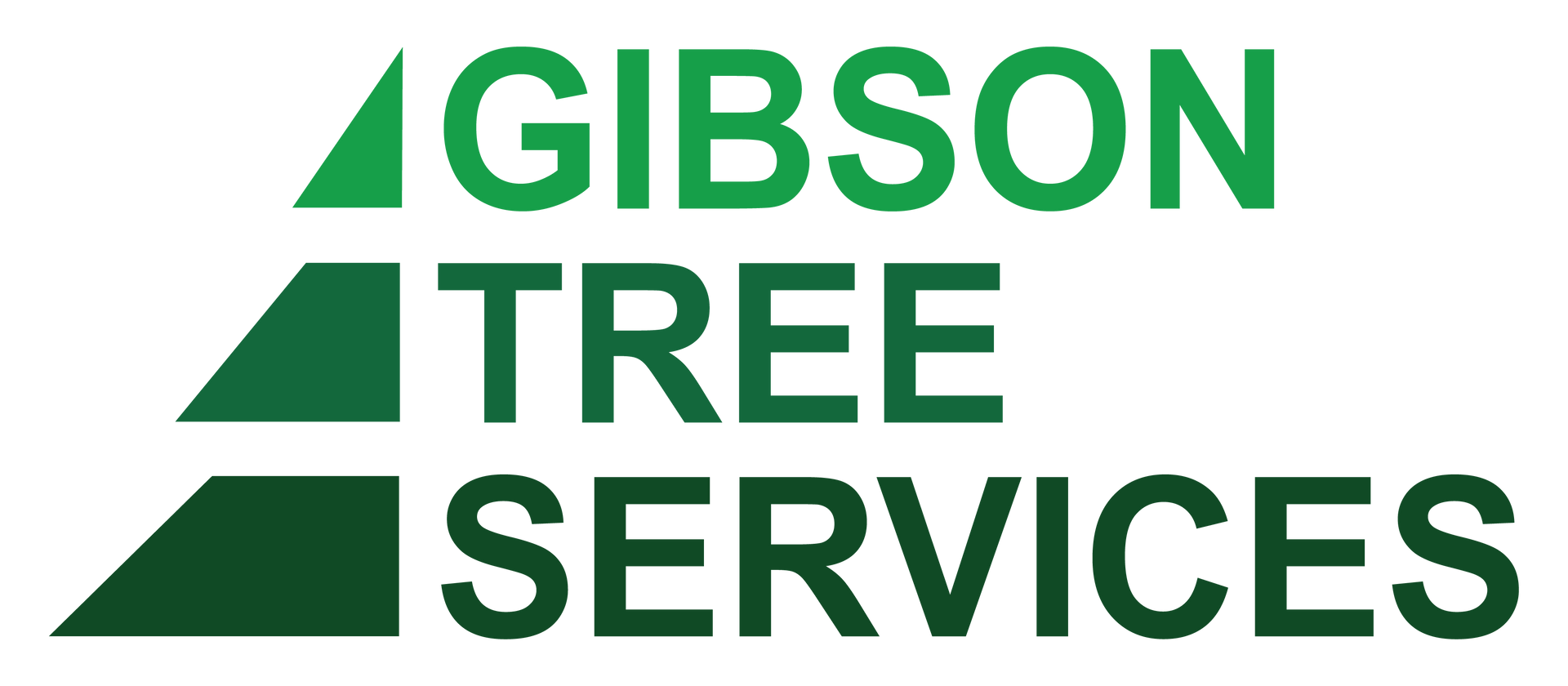 Gibson Tree Services: Your Local Arborist in Townsville