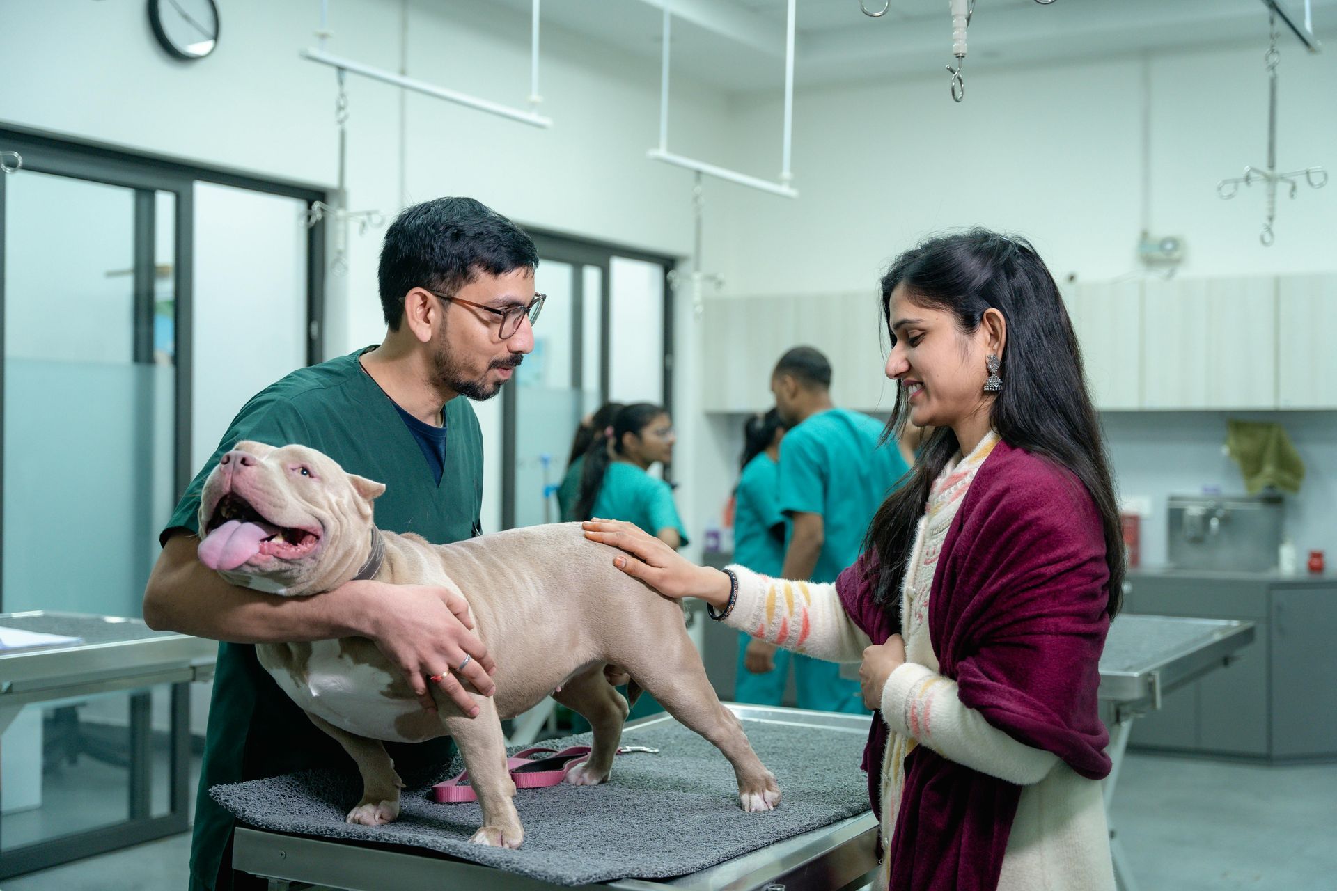 A veterinarian in green scrubs examines a light-colored dog on a table, while a person in a maroon shawl pets the animal.