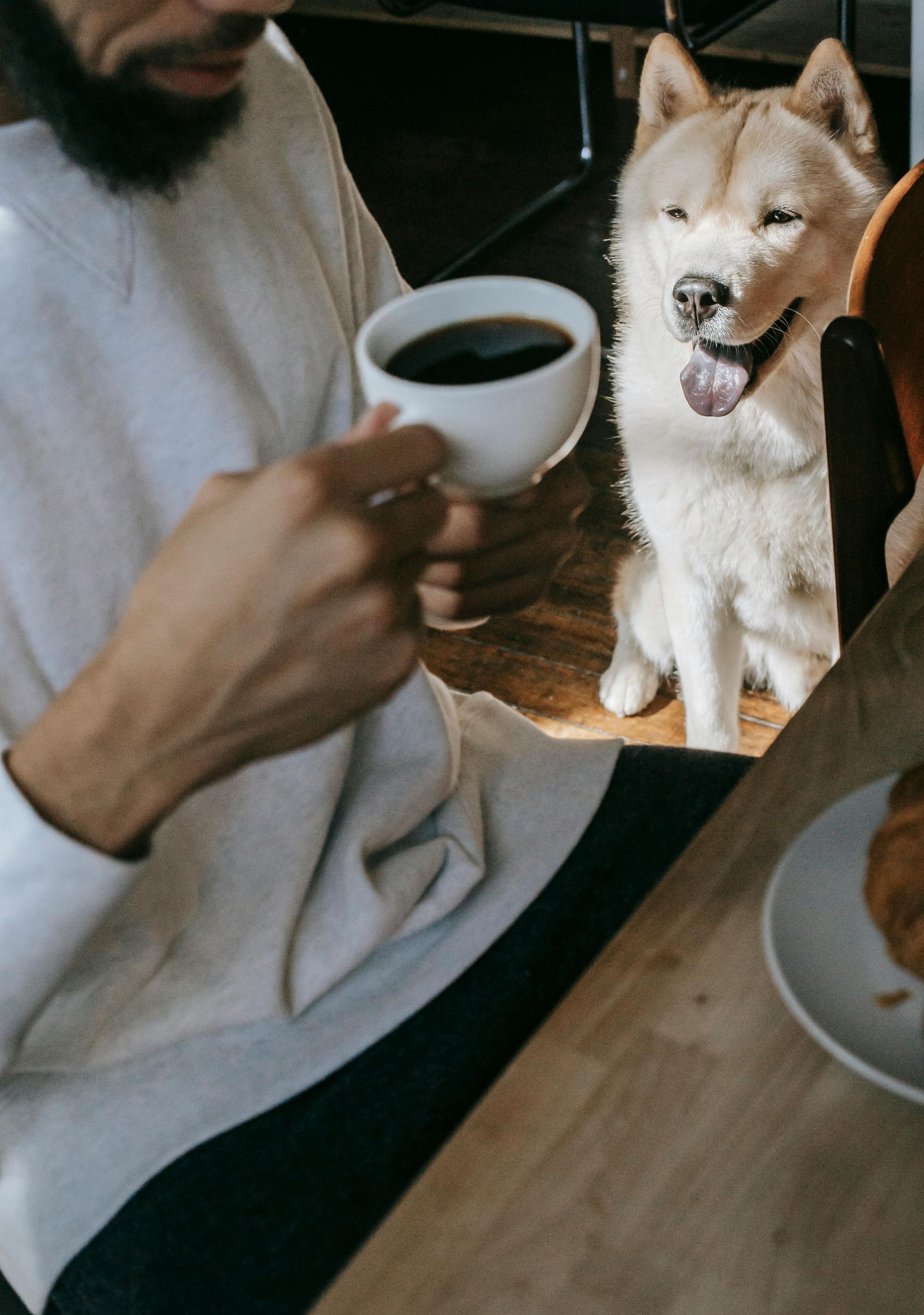 A person in a light shirt holds a cup of coffee while a fluffy, light-colored dog watches them from across a wooden table.