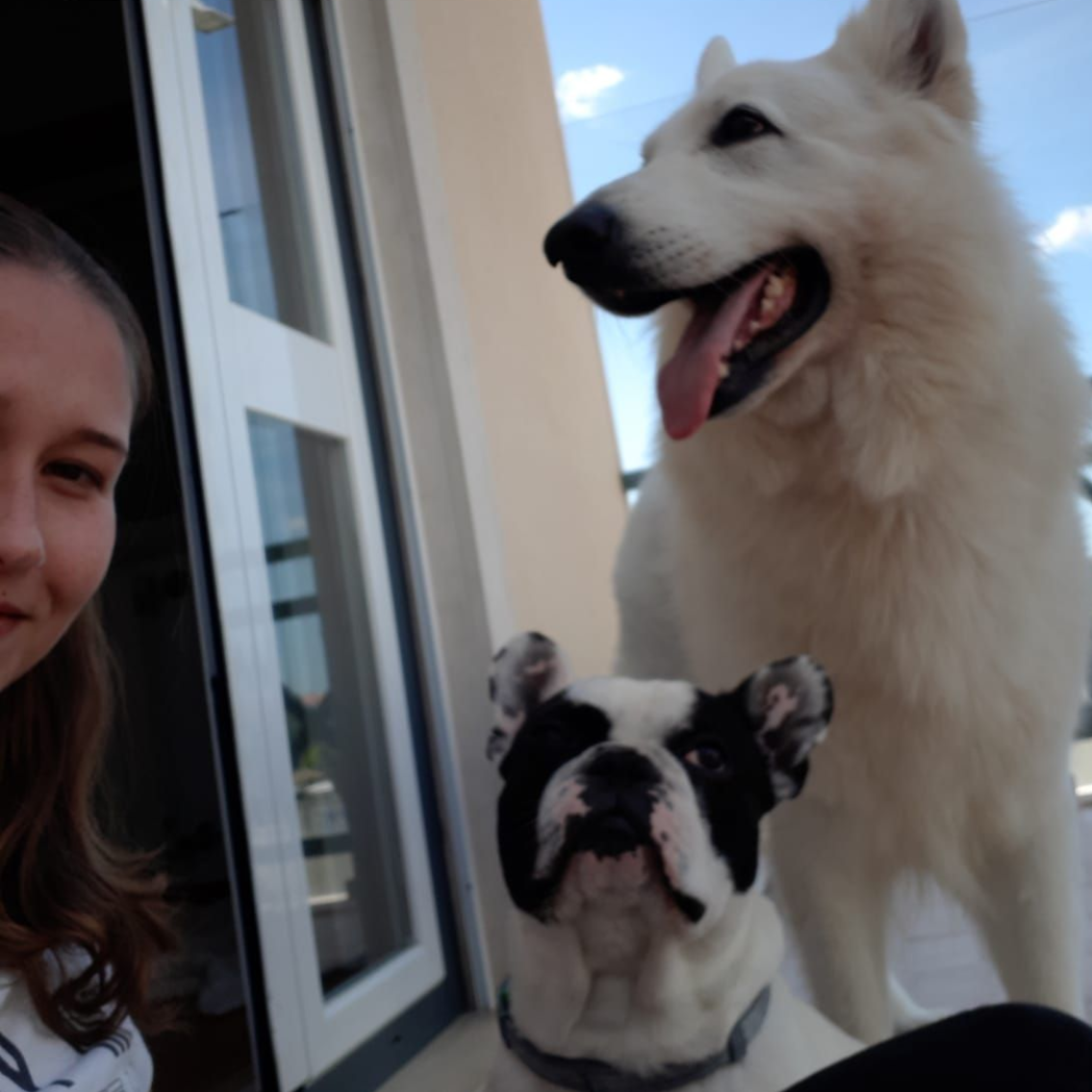 A person takes a selfie outdoors with a large, white, long-haired dog and a black and white French bulldog.