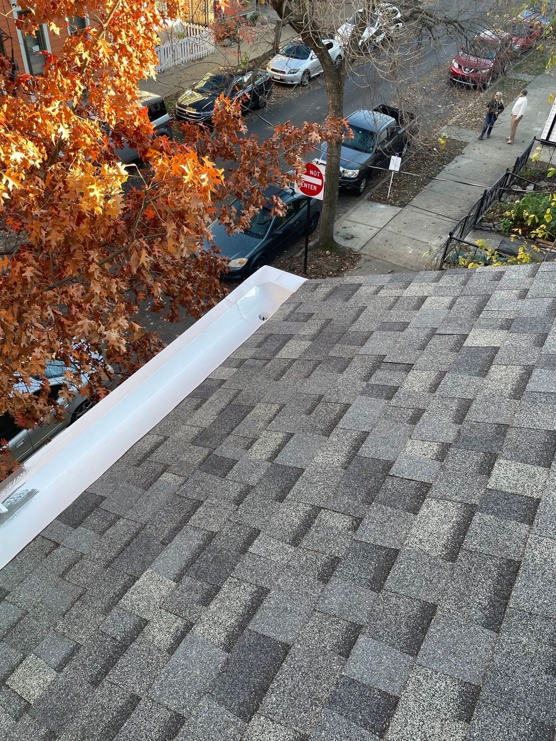 Roofing Replacement Services Near You Rooftop shingles overlooking a tree-lined street with parked cars and autumn leaves