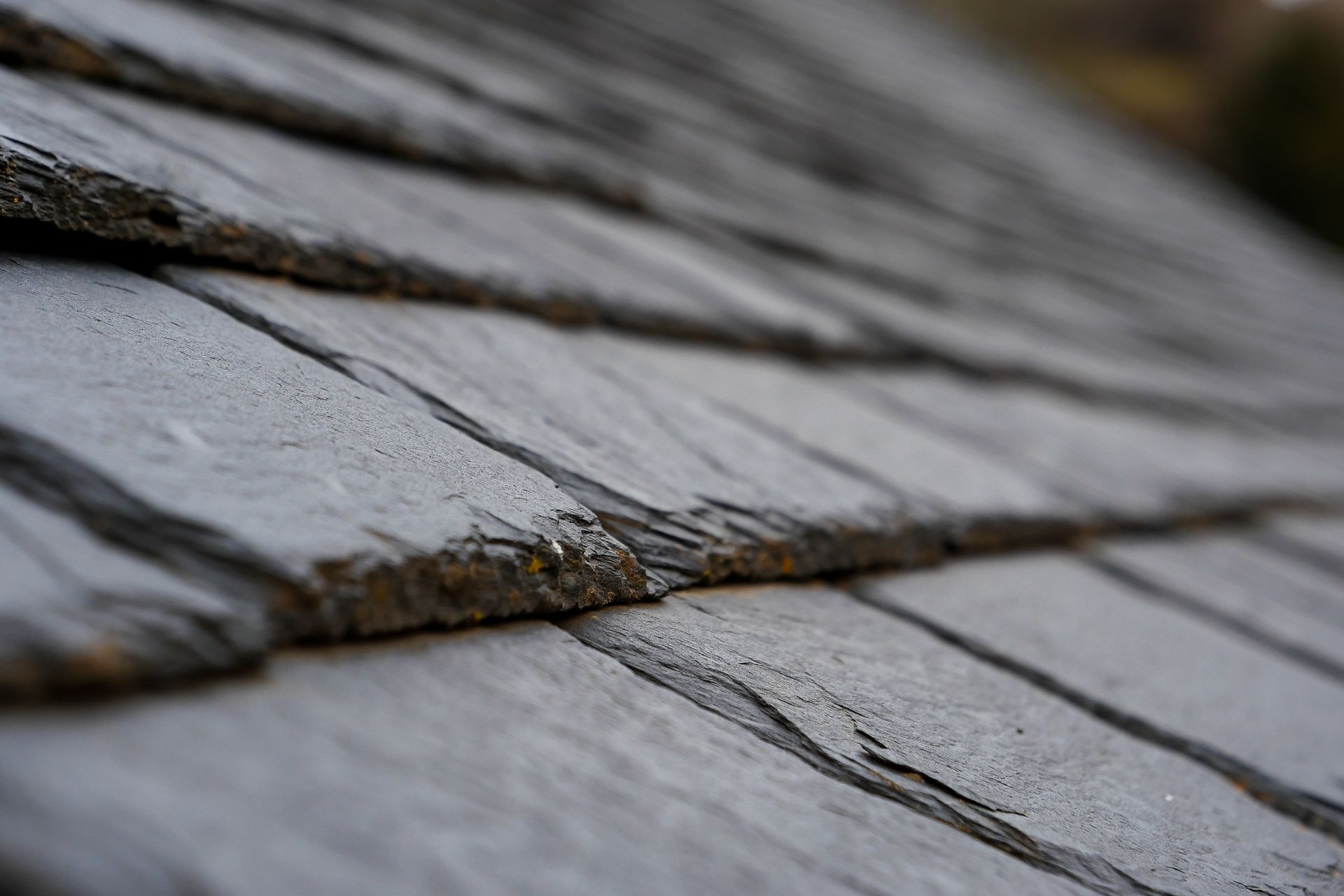 Siding Installation and Repairs Near You Close-up of gray slate roof shingles with a small patch of moss and shallow depth of field
