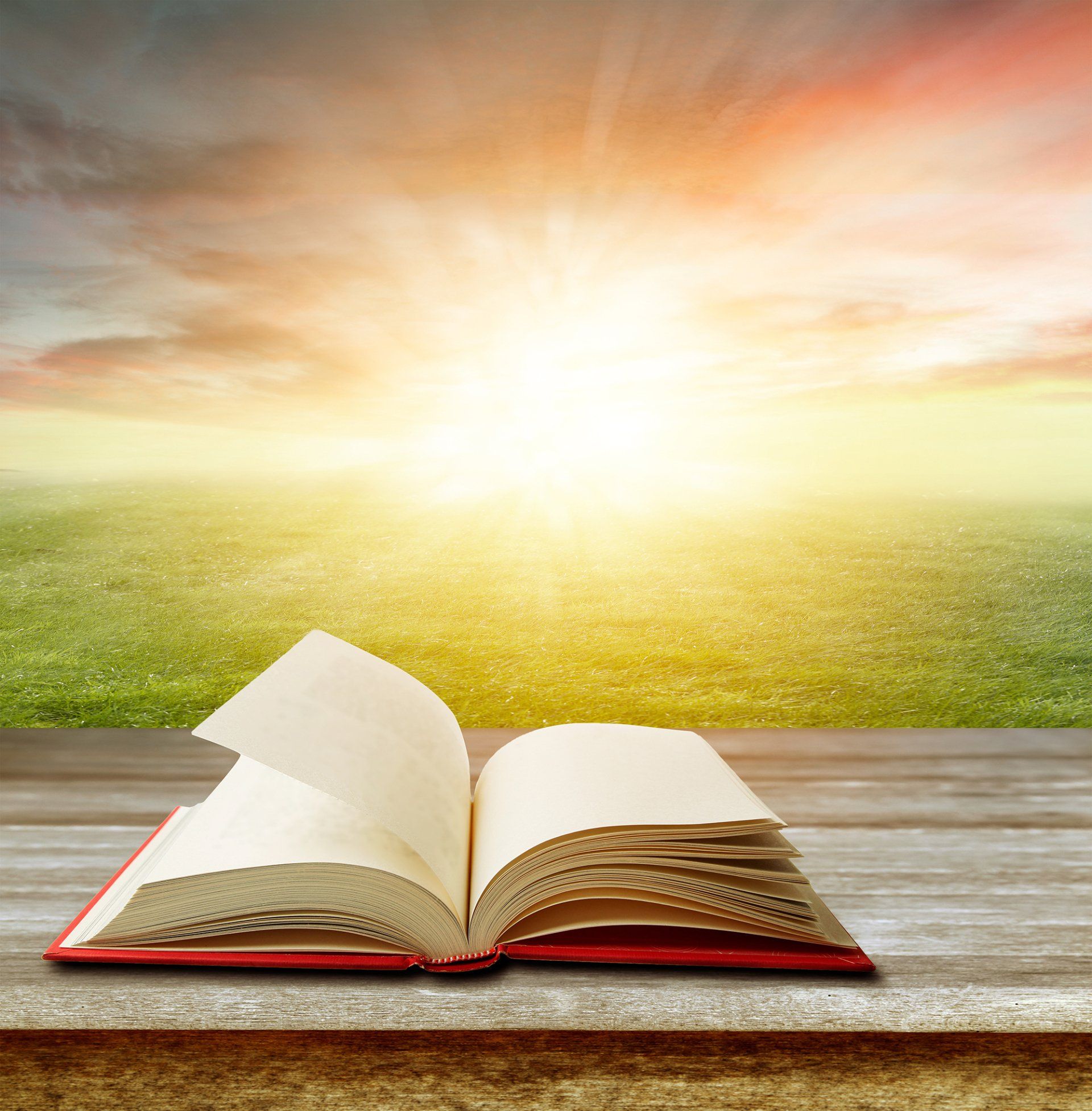 Libro aperto con pagine da sfogliare, con un cielo luminoso e un campo verde sullo sfondo.