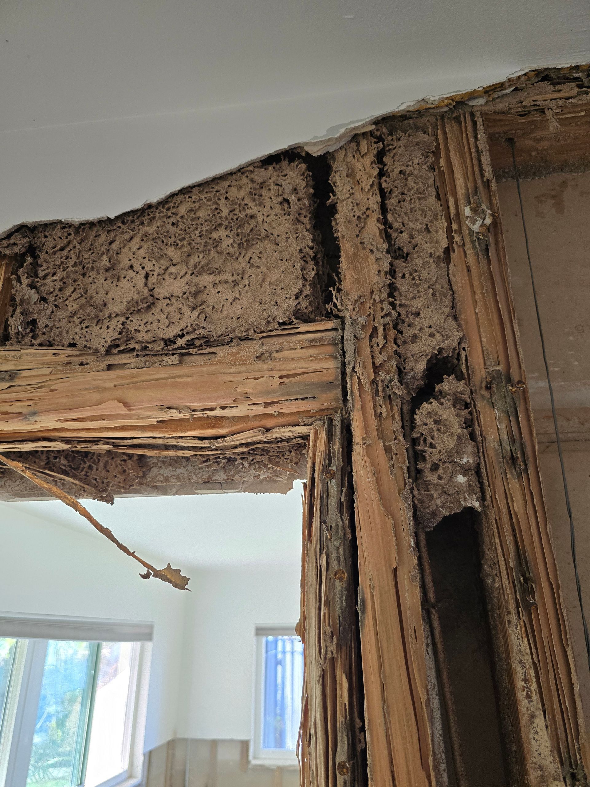Damaged wooden door frame with severe termite infestation and crumbling wood in an interior room
