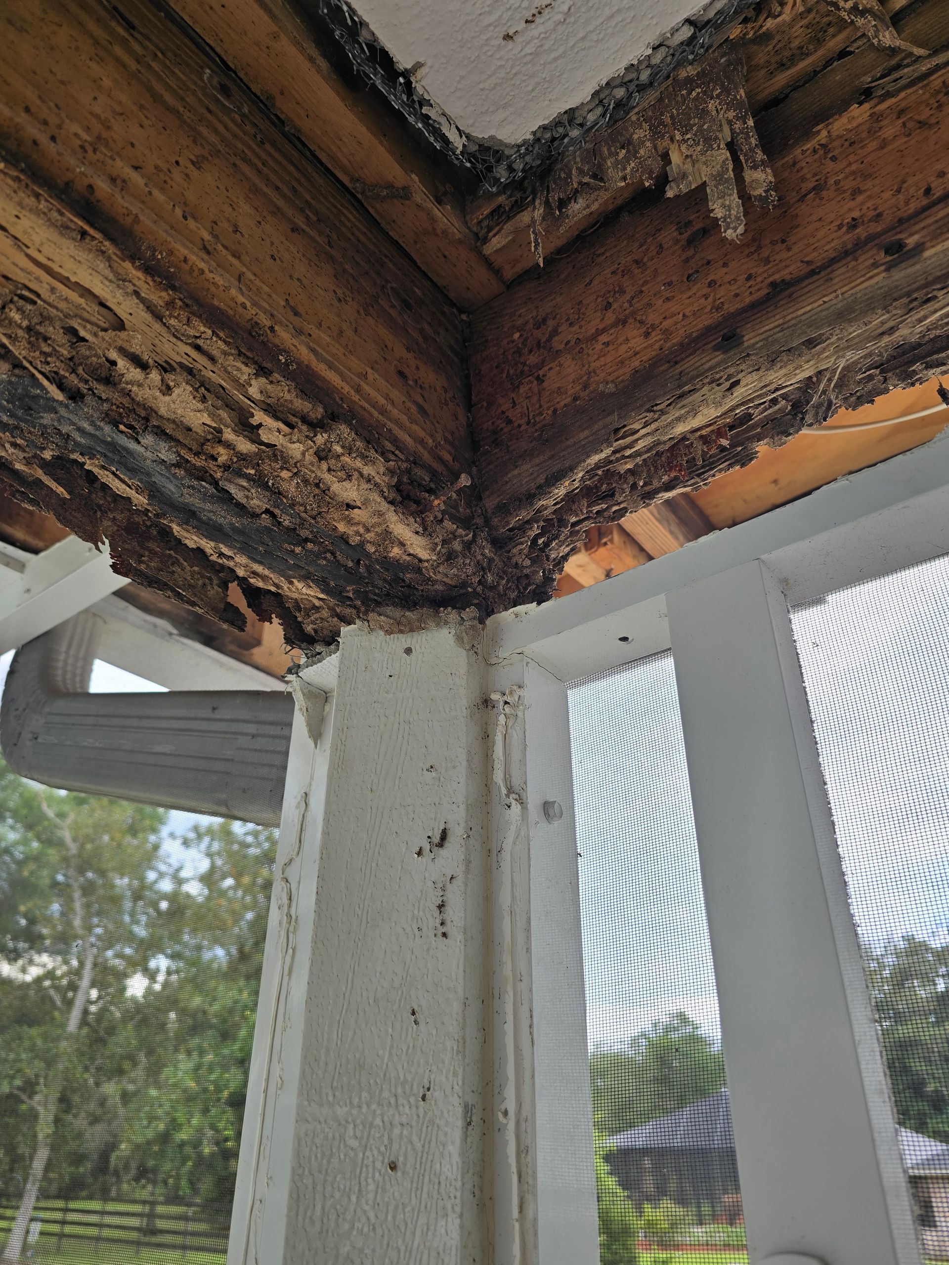 Damaged wooden roof corner with mold and peeling paint above white porch railing