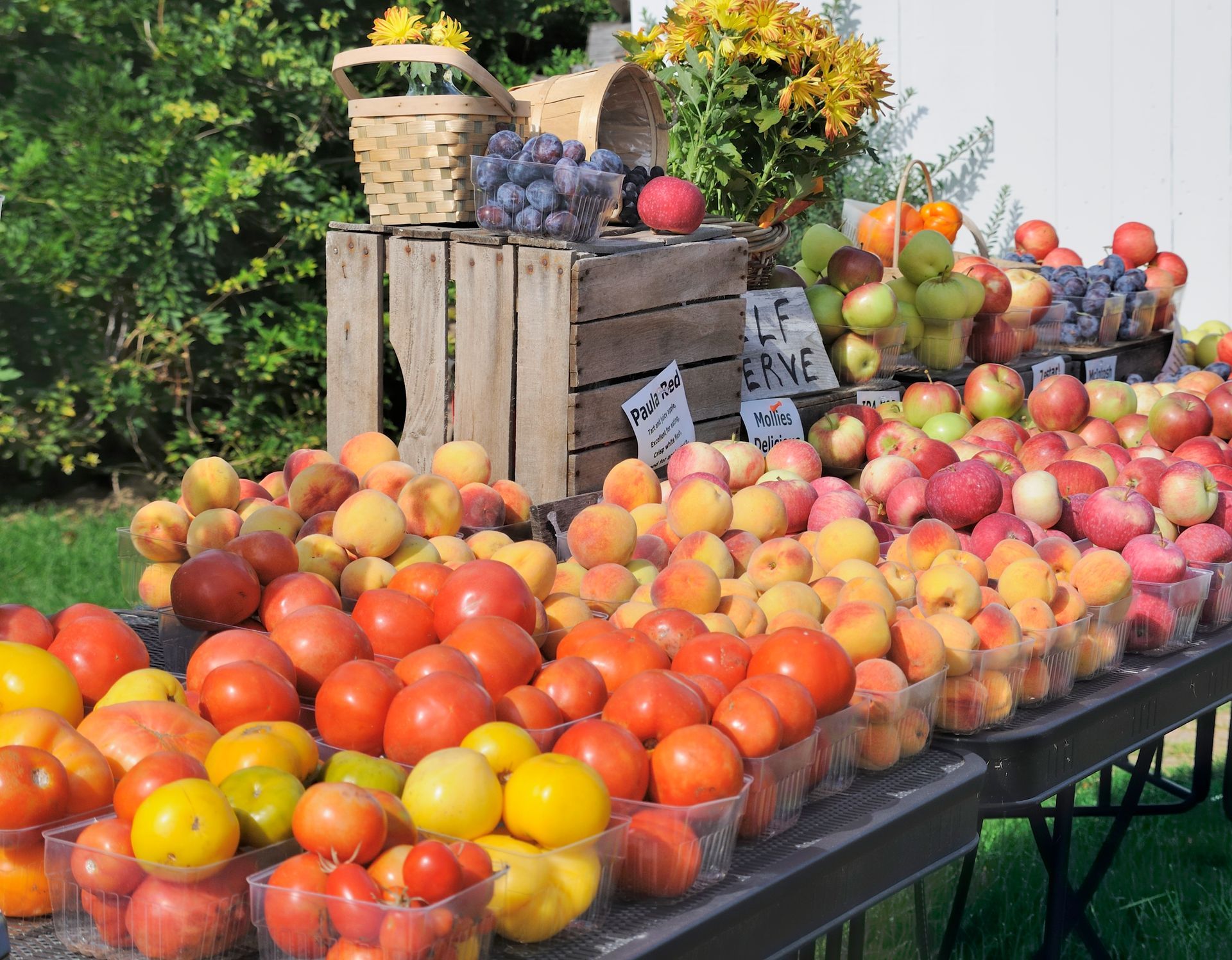 Fruitstand icon