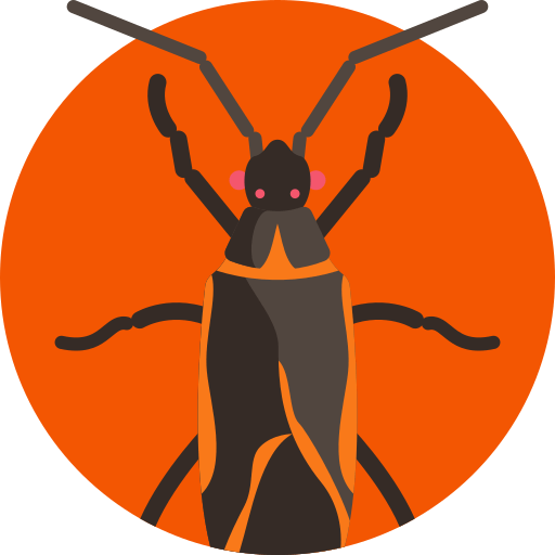 Un insecto negro y naranja con ojos rojos está en un círculo naranja.