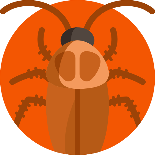 Una cucaracha está sentada en un círculo naranja sobre un fondo blanco.