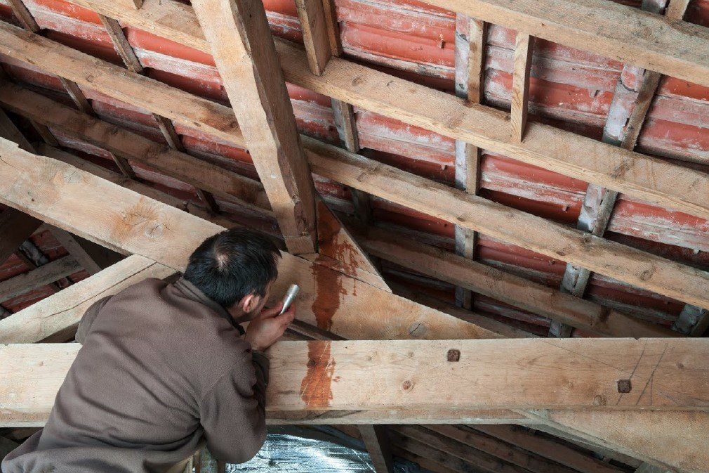 Roof Leak Repair — Burke, VA — Mr Gutter
