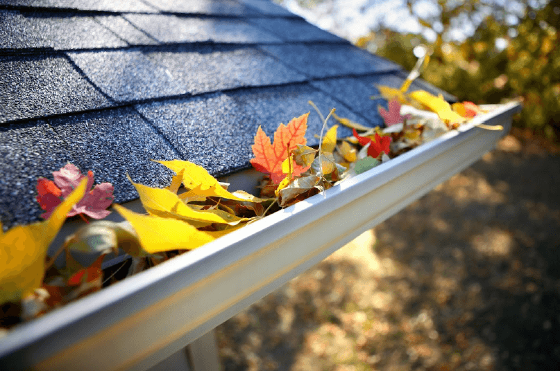 Gutter with Leaves — Burke, VA — Mr Gutter