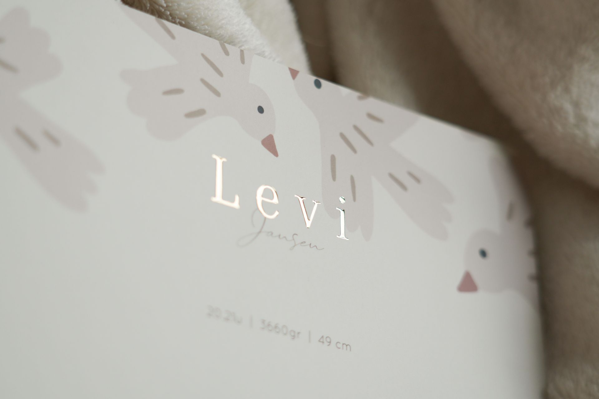 White personalized baby sign with bunny illustrations reading “Levi” on a soft blanket.