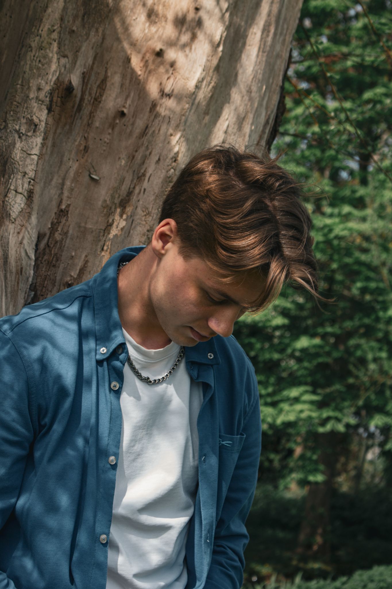 Person in a blue shirt looking down beside a tree in a wooded area.