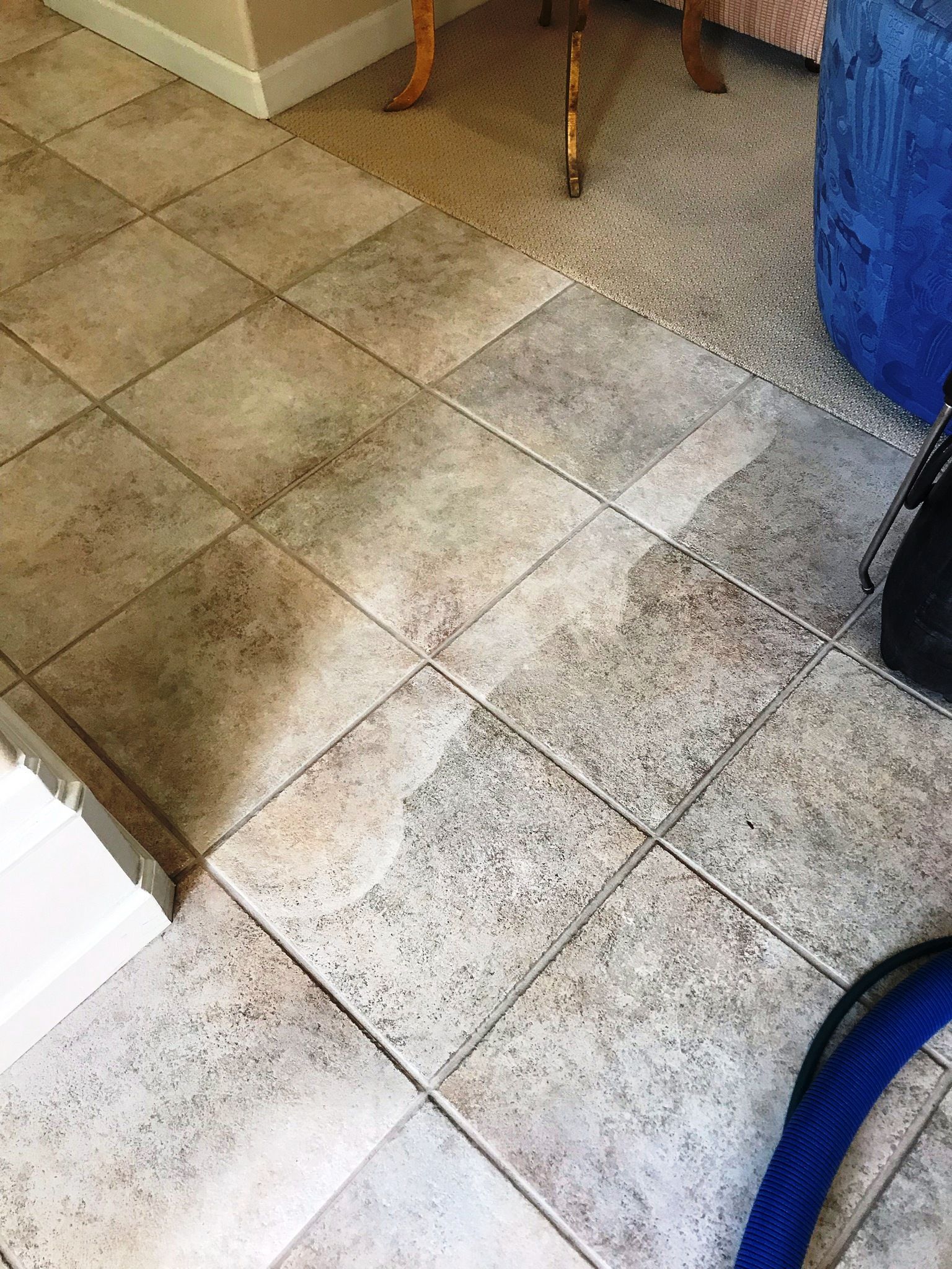 Florida Tile & Grout Cleaning Chris Carpet Service & Water Restoration