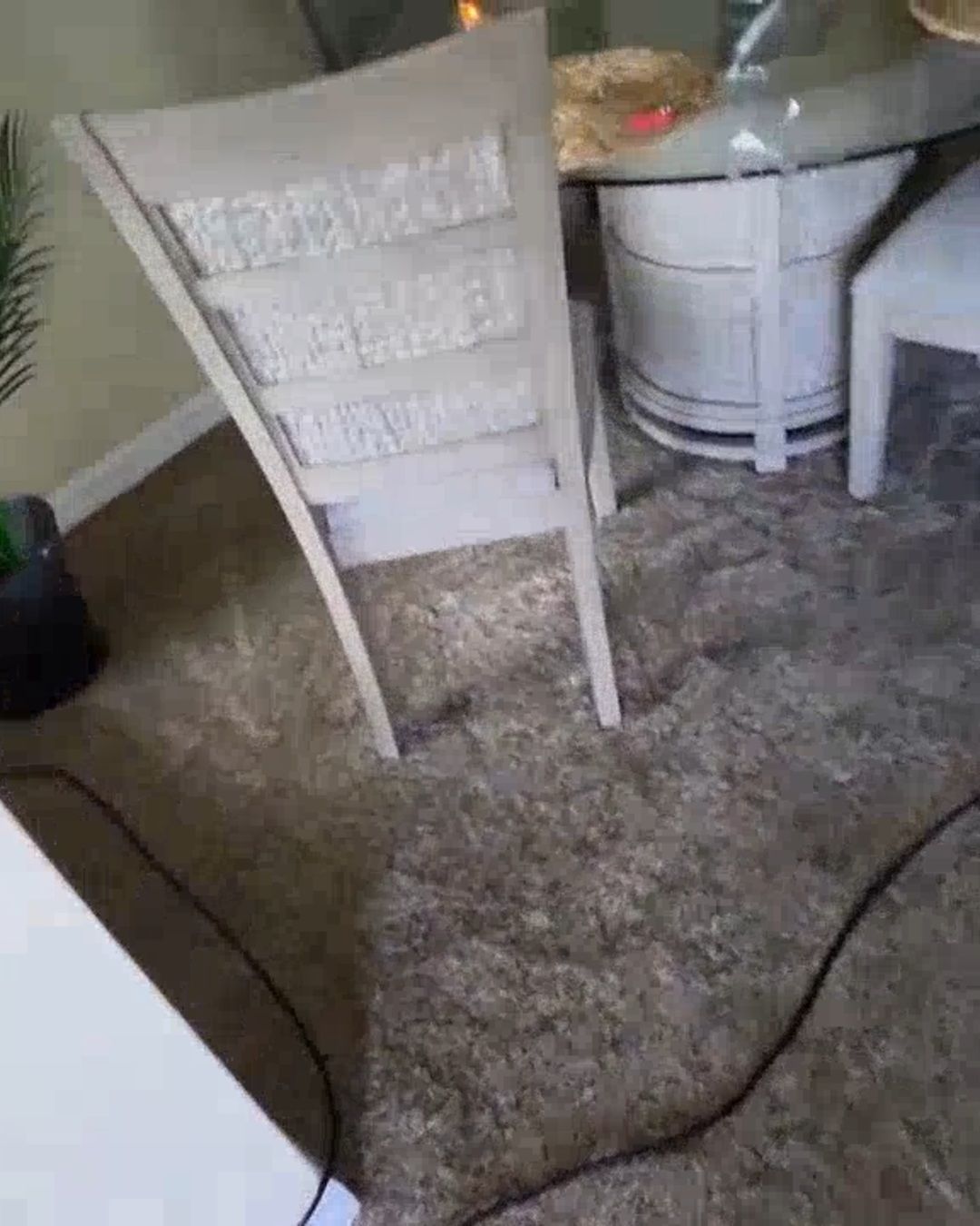 Extraction hose pulling flood water from wet dining room carpet in Clearwater Beach FL