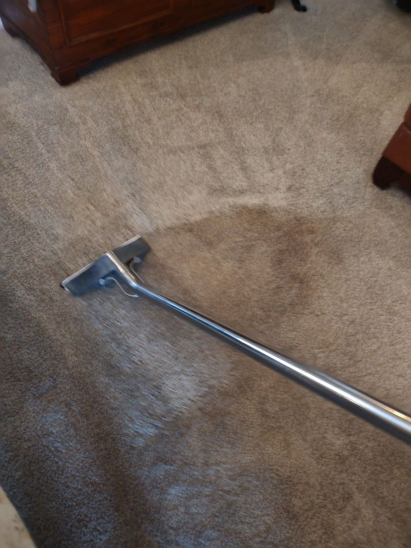 Extraction wand lifting an embedded pet stain from carpet pile during deep cleaning