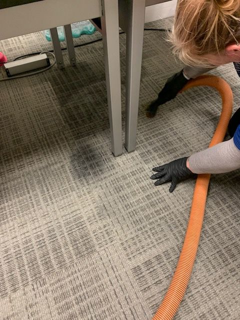 Restoration technician agitating toner spill on office carpet during professional cleaning