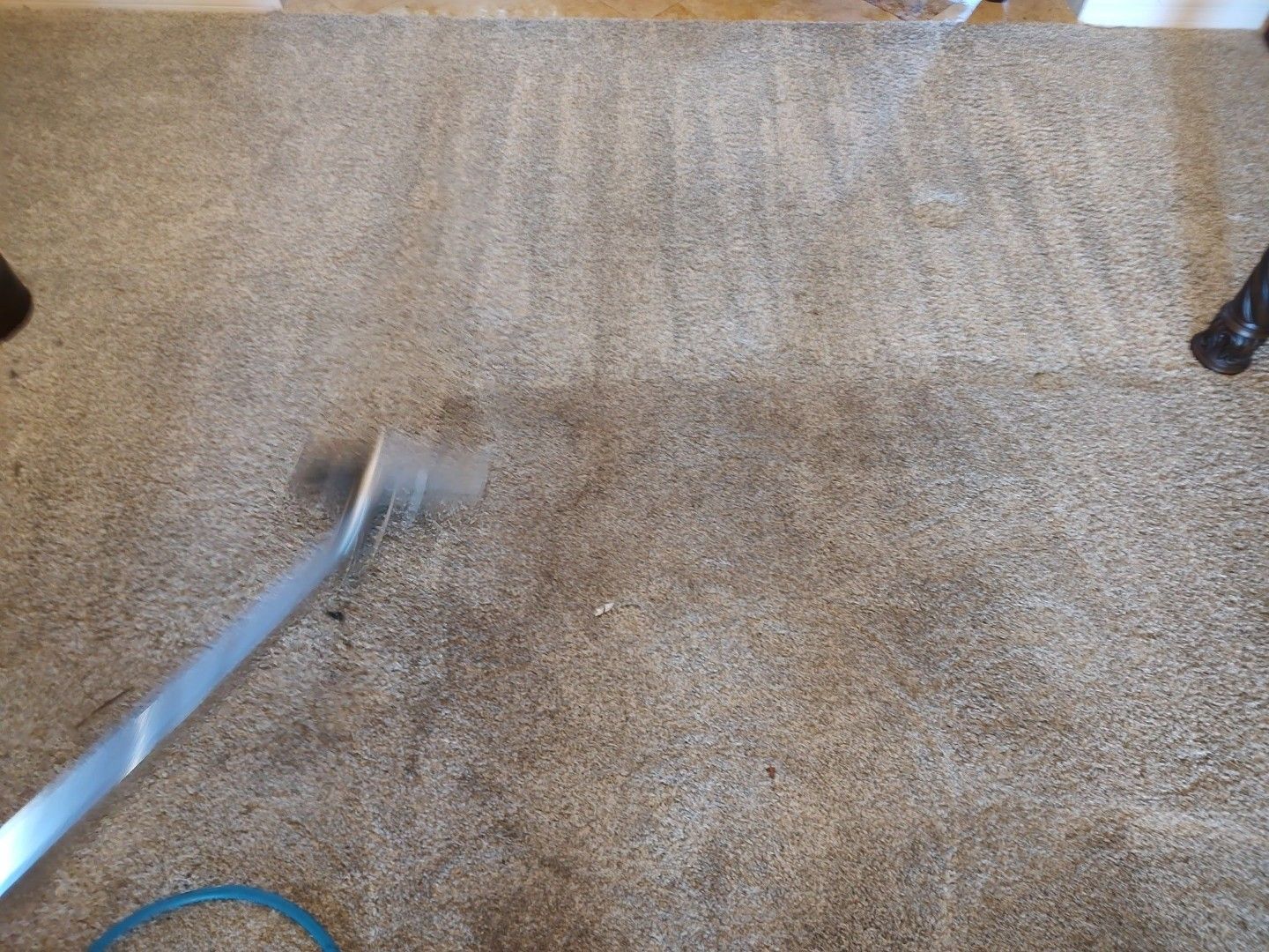 Technician cleaning a heavily soiled carpet traffic lane in a residential Largo FL home