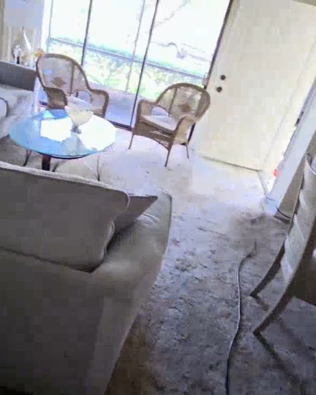 Salt water damage across living room carpet in a flooded Clearwater Beach residence