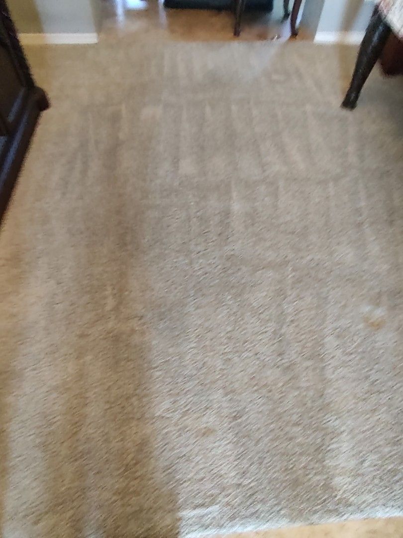 Restored and groomed hallway carpet after professional pet stain cleaning in Largo FL