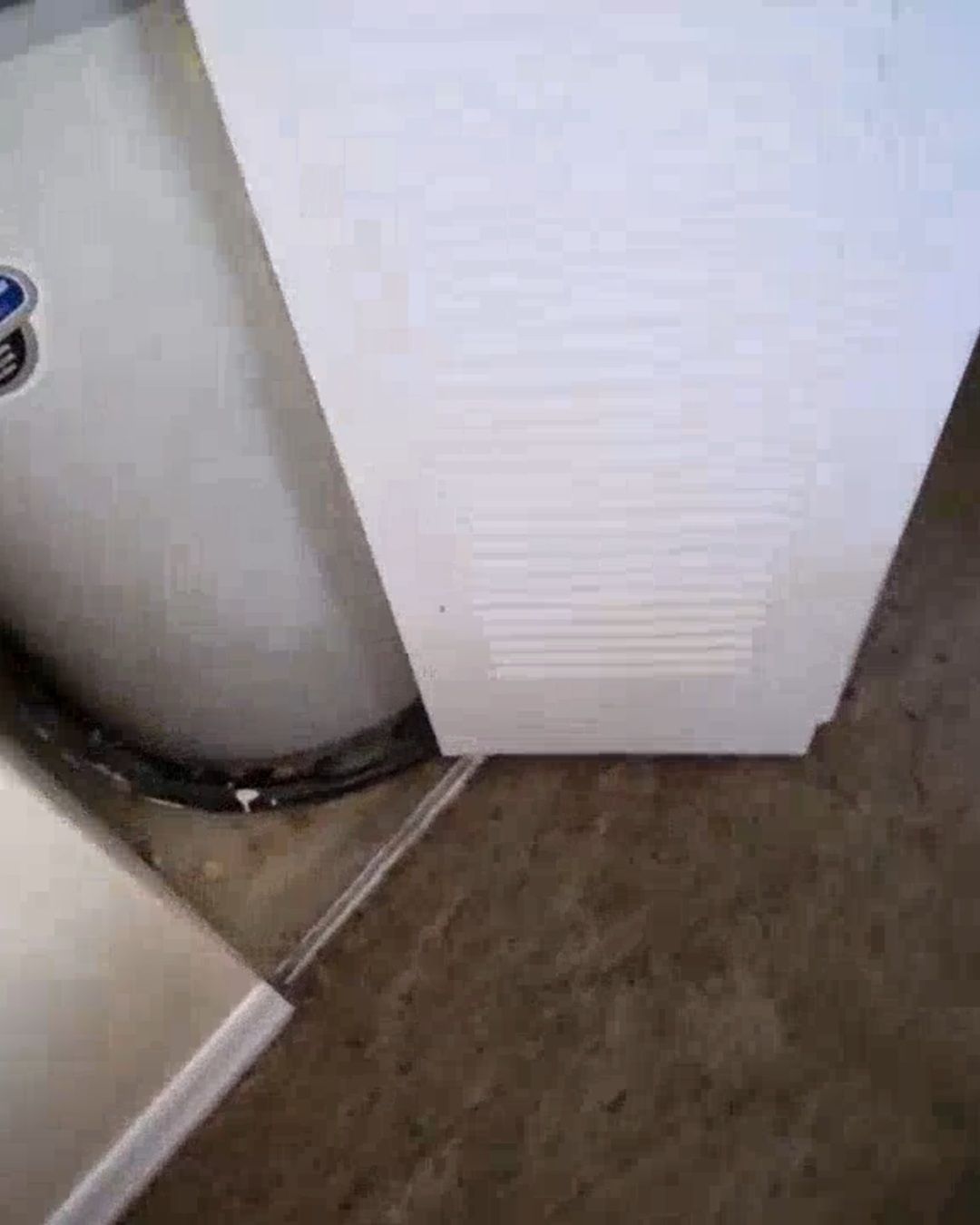 Flood water line marking the baseboard of a Clearwater Beach home after Hurricane Helene