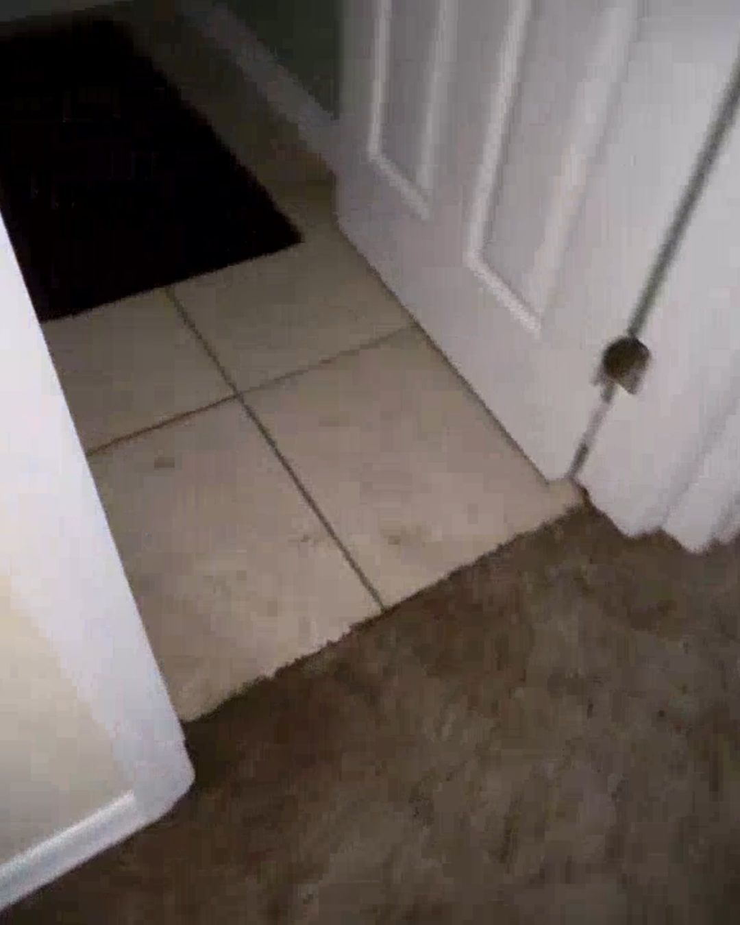 Carpet to tile transition showing flood damage and storm sand in a Clearwater Beach home