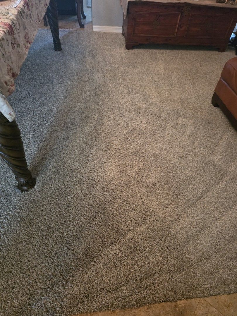 Freshly groomed bedroom carpet showing restored color and texture after cleaning