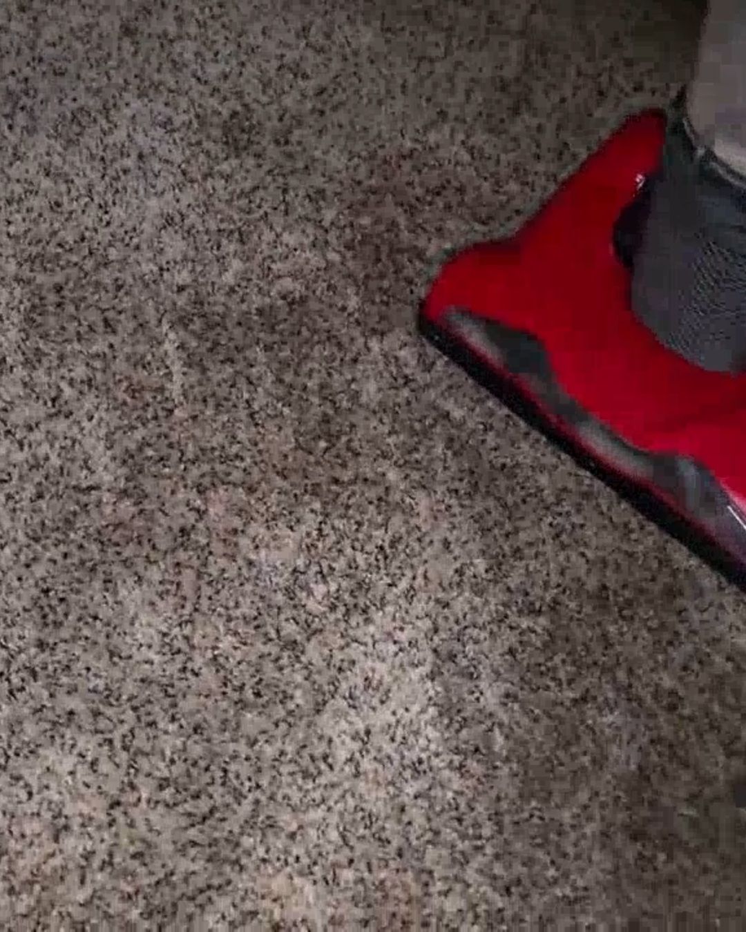 Carpet extraction equipment running inside a flooded Clearwater Beach FL home