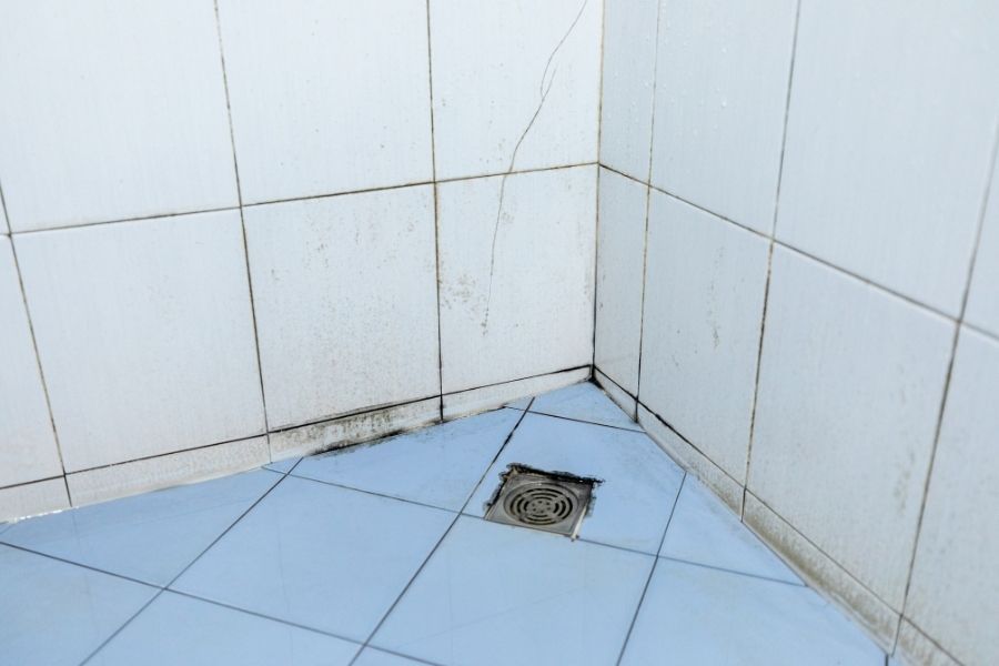 Dark mold growth spreading across a bathroom ceiling caused by trapped humidity and poor ventilation in a Tampa Bay area home