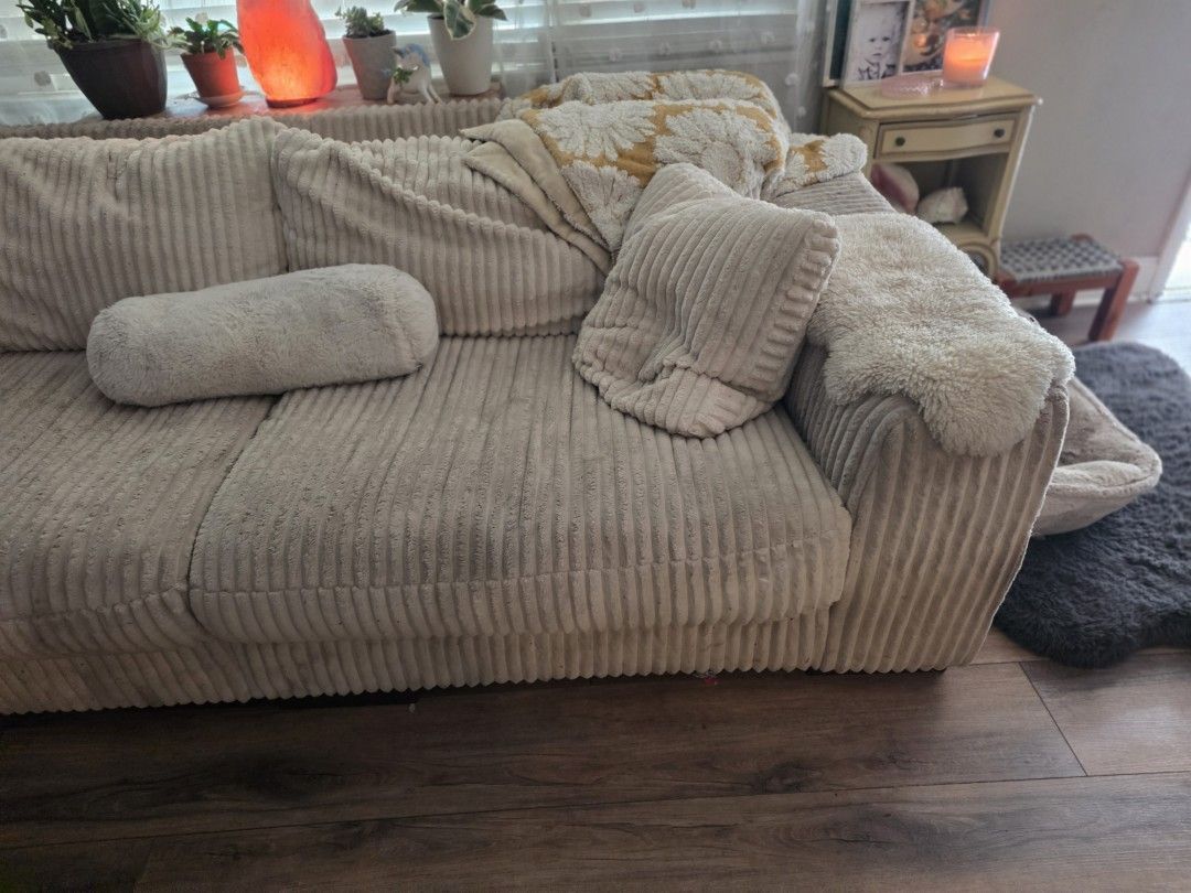 Stained corduroy couch in a residential living room showing years of pet wear before cleaning