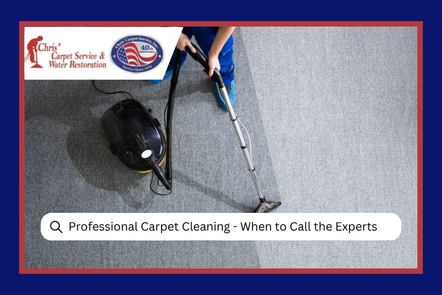 Carpet cleaner using a wand on gray carpet with text: “Professional Carpet Cleaning - When to Call the Experts”