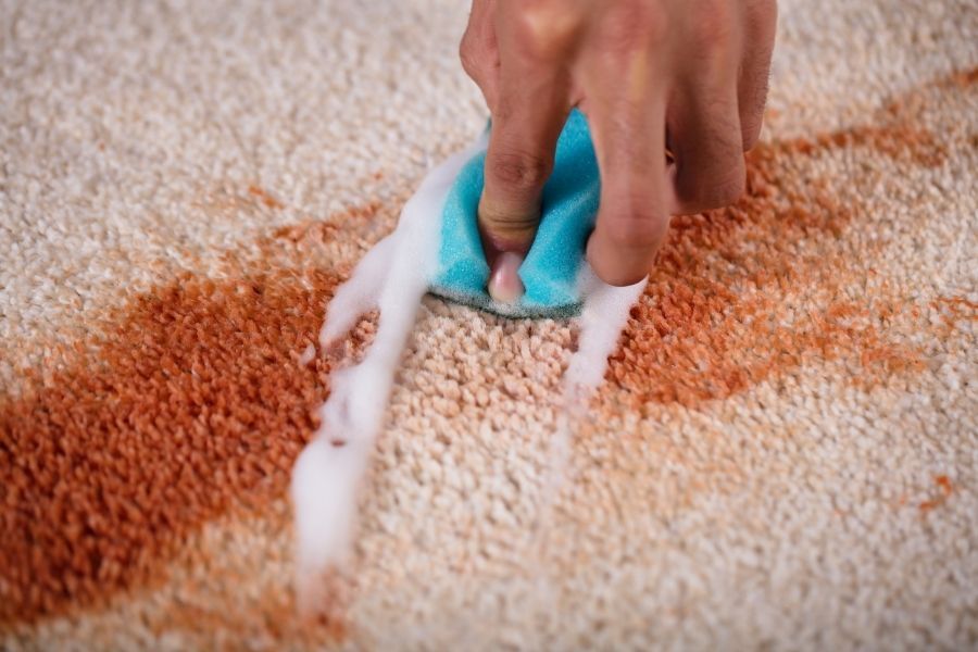 Homeowner blotting a fresh spill on light beige carpet with a white towel