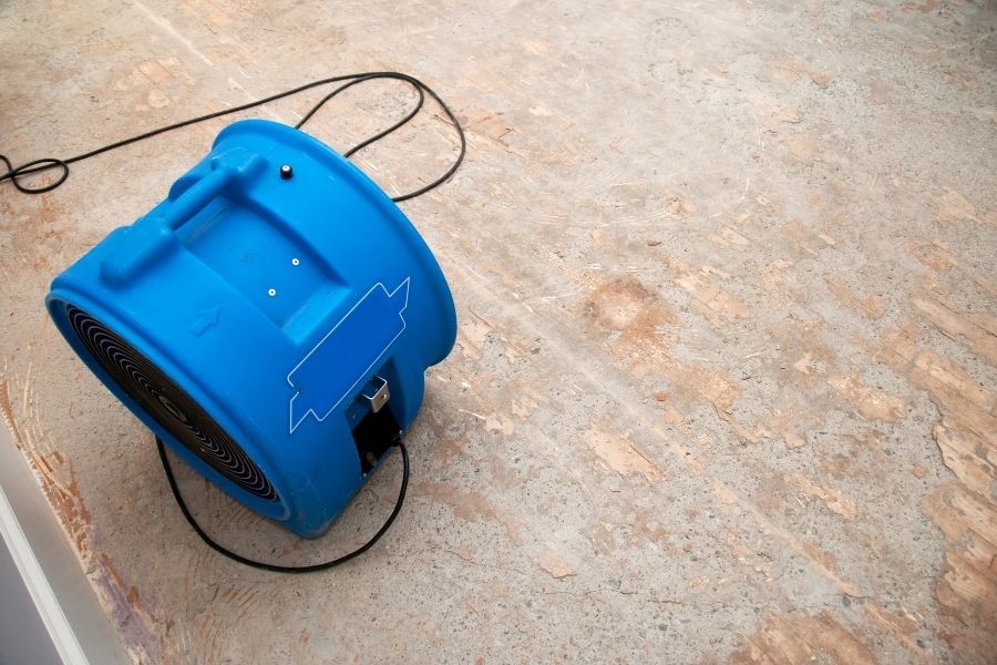 Single blue air mover running on an exposed plywood subfloor after flooring removal in Largo FL