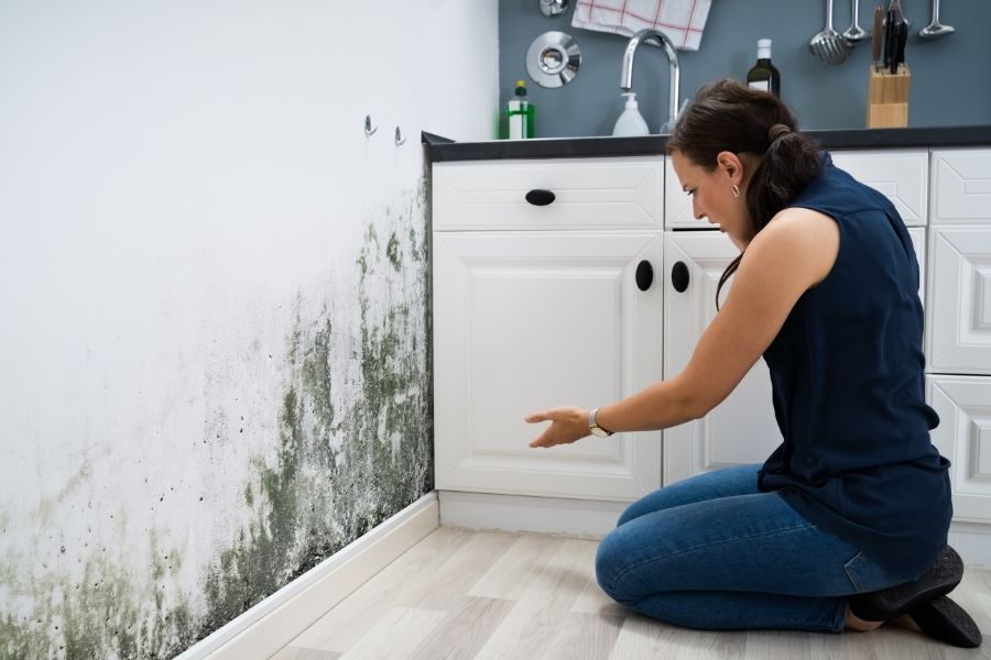 Woman kneeling on a kitchen floor pointing to dark mold growth on the wall beside white cabinets in a Largo FL home