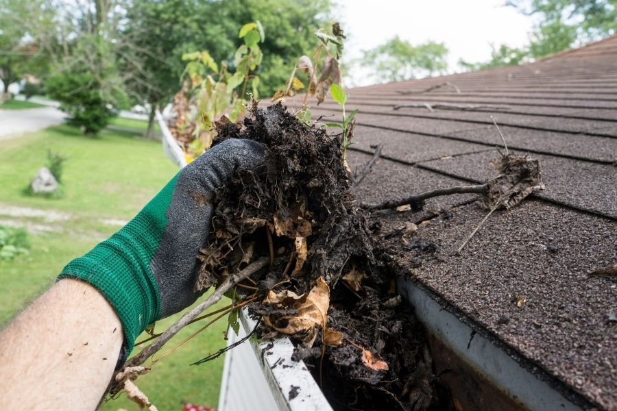 Homeowner clearing debris from a rain gutter and checking the downspout extension at a residential home