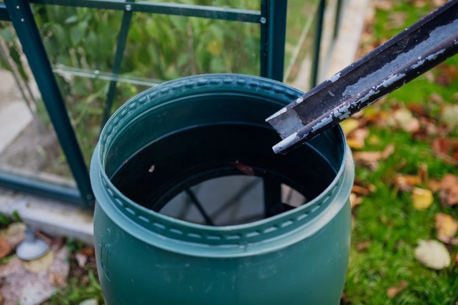 Downspout feeding rainwater into a green rain barrel set in a backyard garden