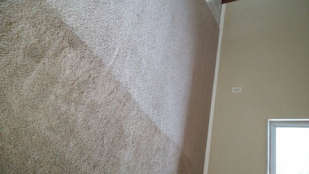 mold damage