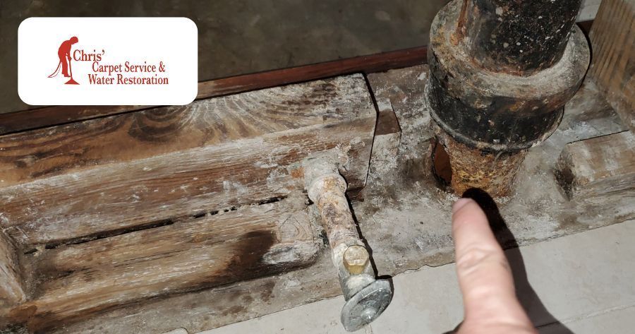 Restoring a Bathroom After a Burst Corroded Pipe In Largo, FL