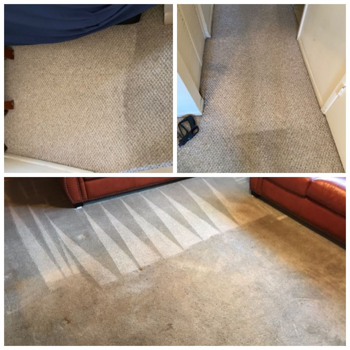 carpet cleaning before and after photos 