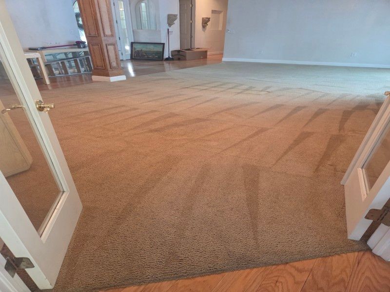 Restore Your Floors with Expert Carpet Cleaning Oldsmar FL Services