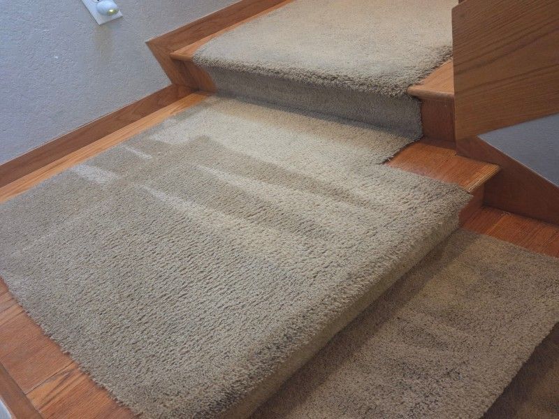 Professional carpet cleaning final results