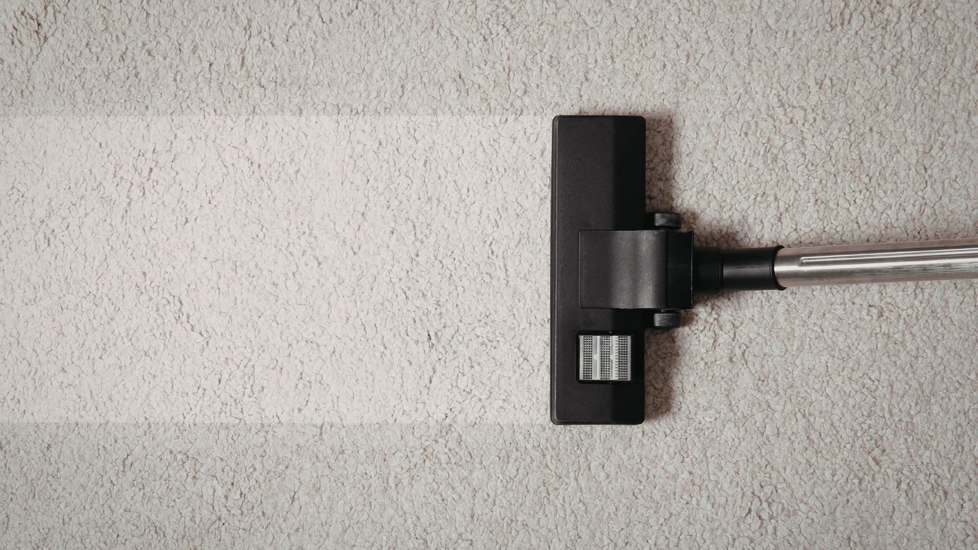 Schedule Your Commercial Carpet Cleaning Largo FL Service Today
