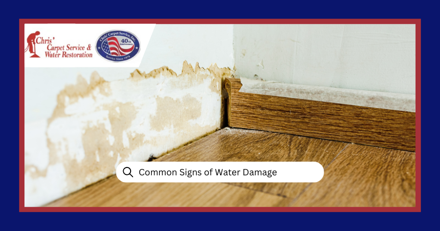What Are The Most Common Signs Of Water Damage?