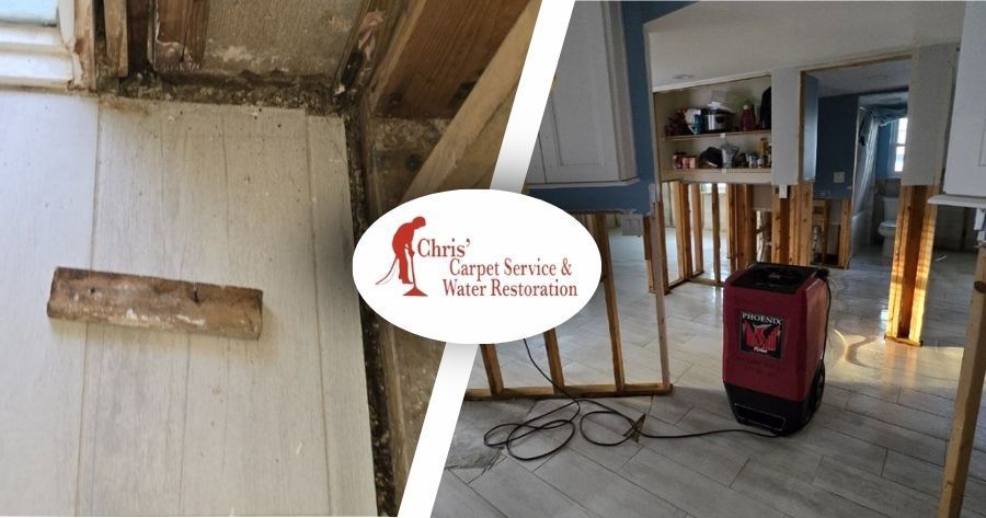 Tackling Flood Damage Restoration After Hurricane Helene