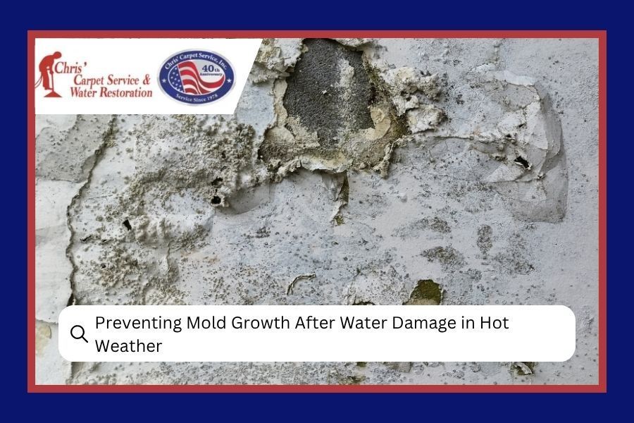 Preventing Mold Growth After Water Damage in Hot Weather