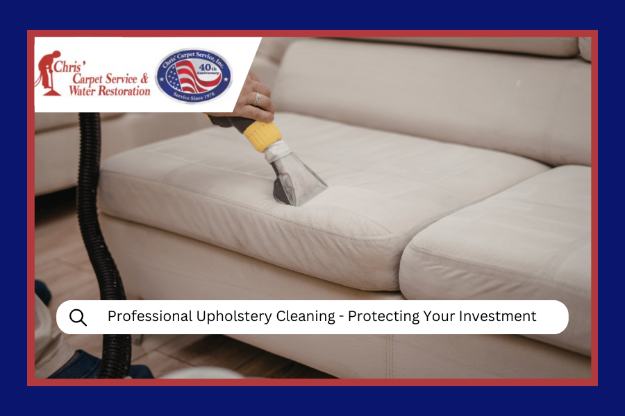 Professional Upholstery Cleaning - Protecting Your Investment