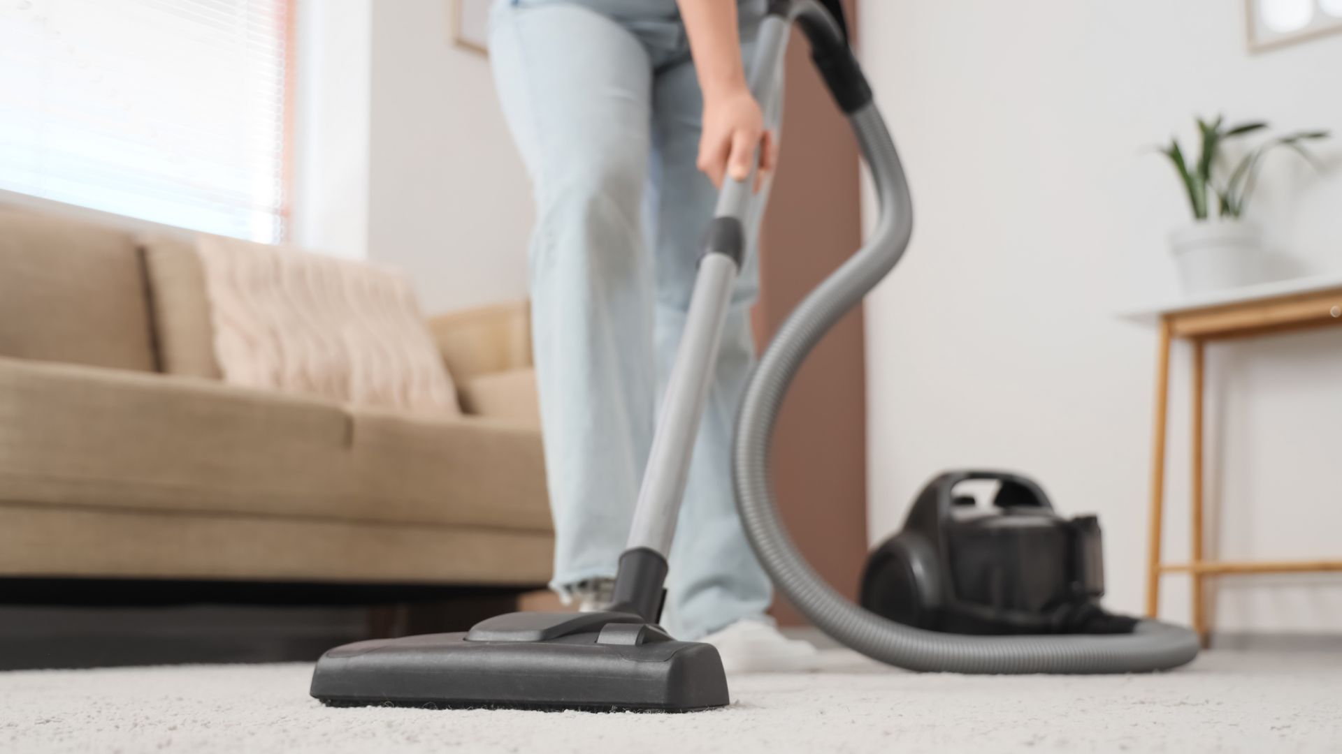 Residential Carpet Cleaning Service in Largo, FL Bring Your Carpets Back to Life with Residential Carpet Cleaning