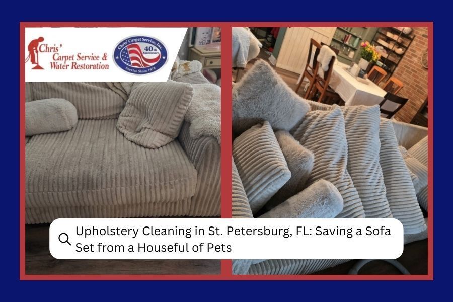 Upholstery cleaning collage showing a striped sofa before and after pet stain cleaning in St. Petersburg, FL
