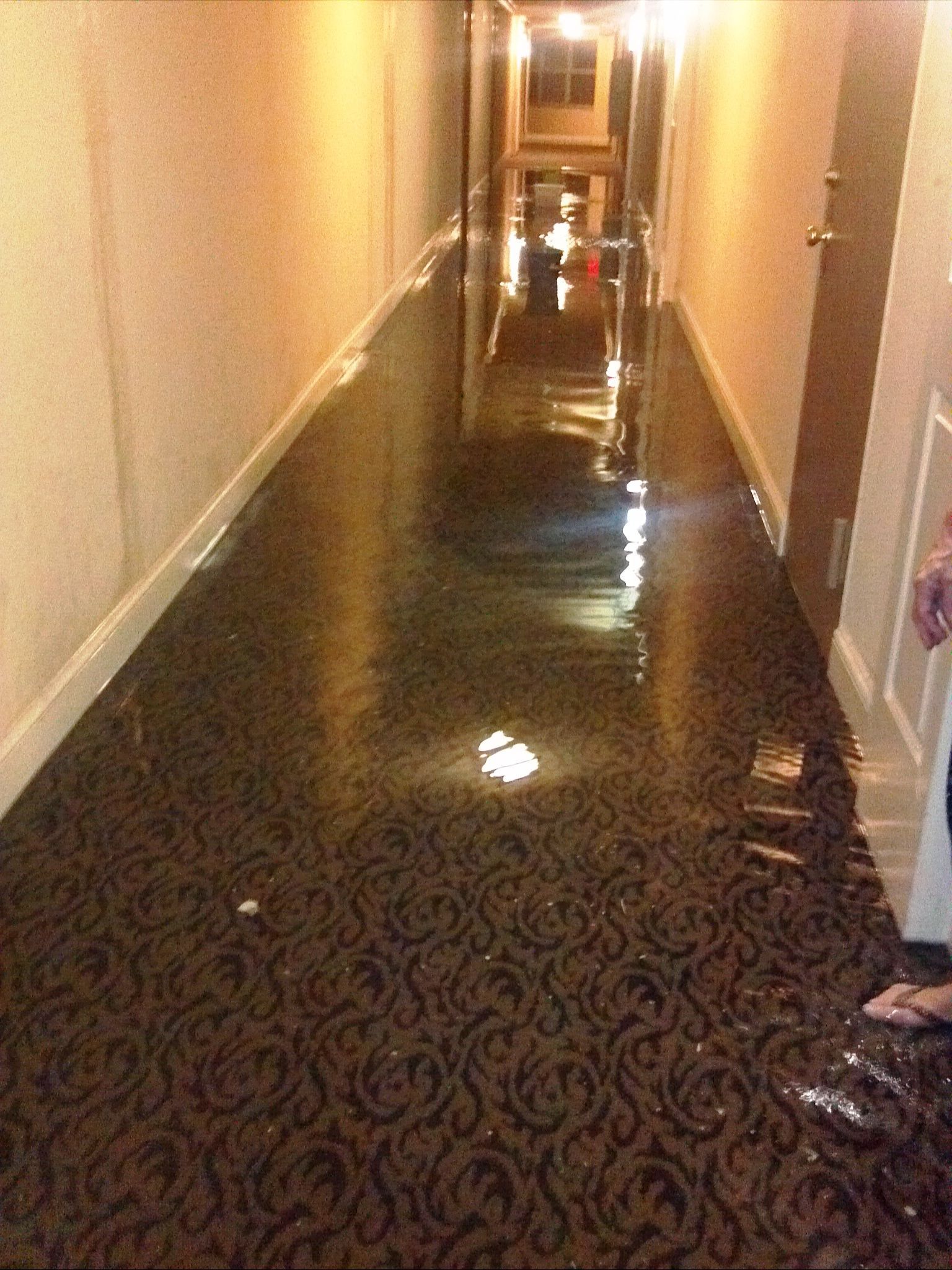 water damaged property in Largo FL